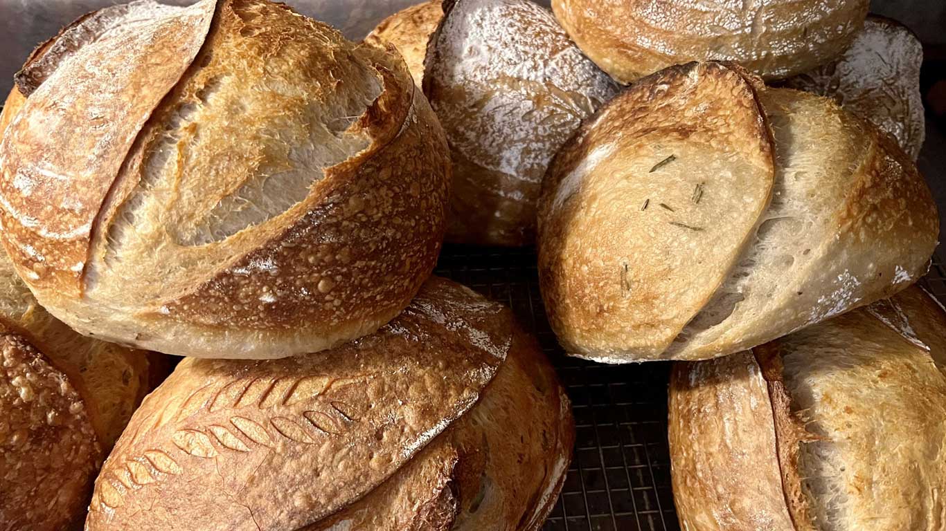 Madison Bread Company Sourdough